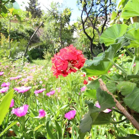 Centre&free Private Parking