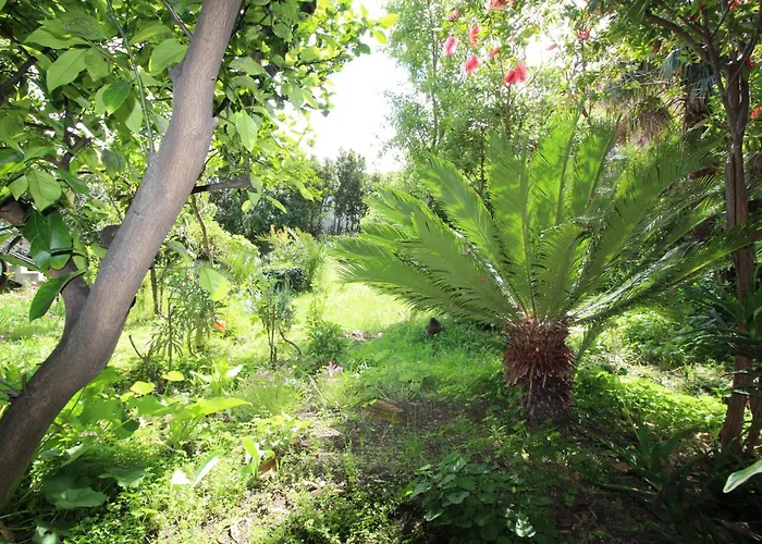 Centre&free Private Parking