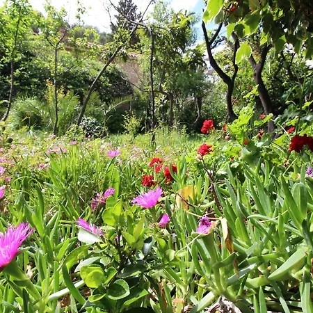 Apartment Centre & Free Private Parking *