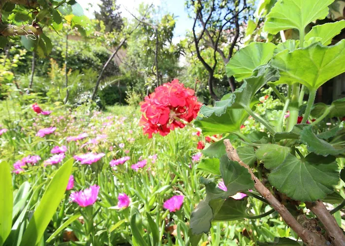 Centre & Free Private Parking