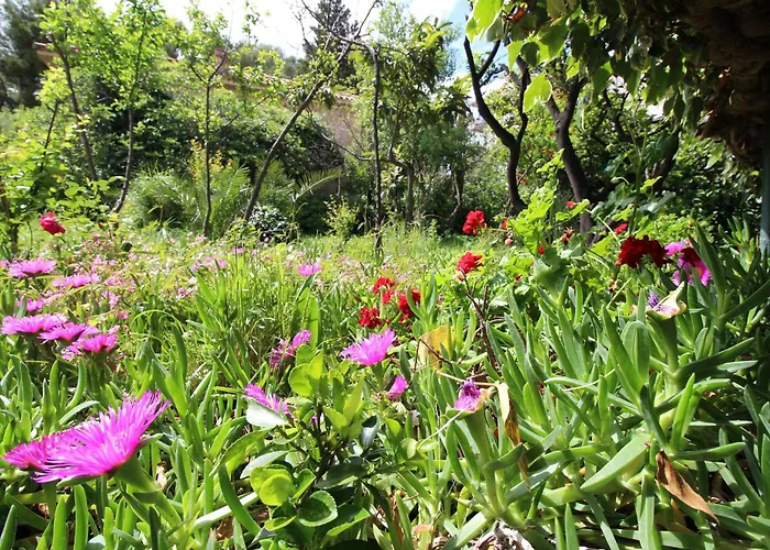 Daire Centre & Free Private Parking *