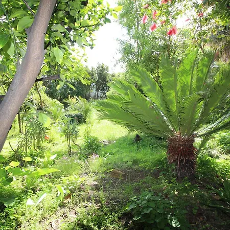 Centre & Free Private Parking